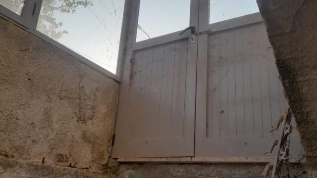 40b9204a-564e-475c-916e-201dcfe6d420