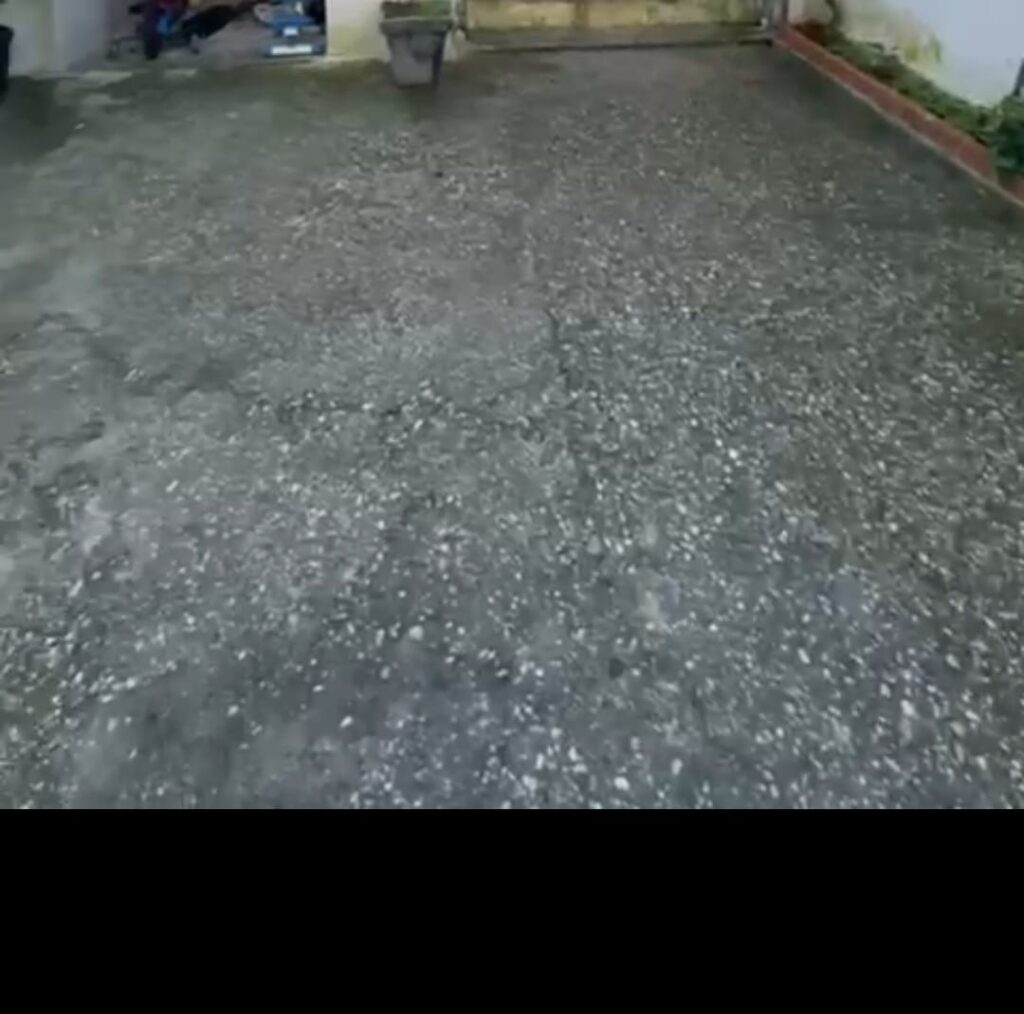 WhatsApp Image 2025-12-15 at 11.09.31 AM