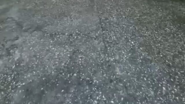 WhatsApp Image 2025-12-15 at 11.09.31 AM