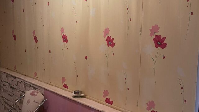 WhatsApp Image 2026-02-18 at 11.06.52 AM (2)